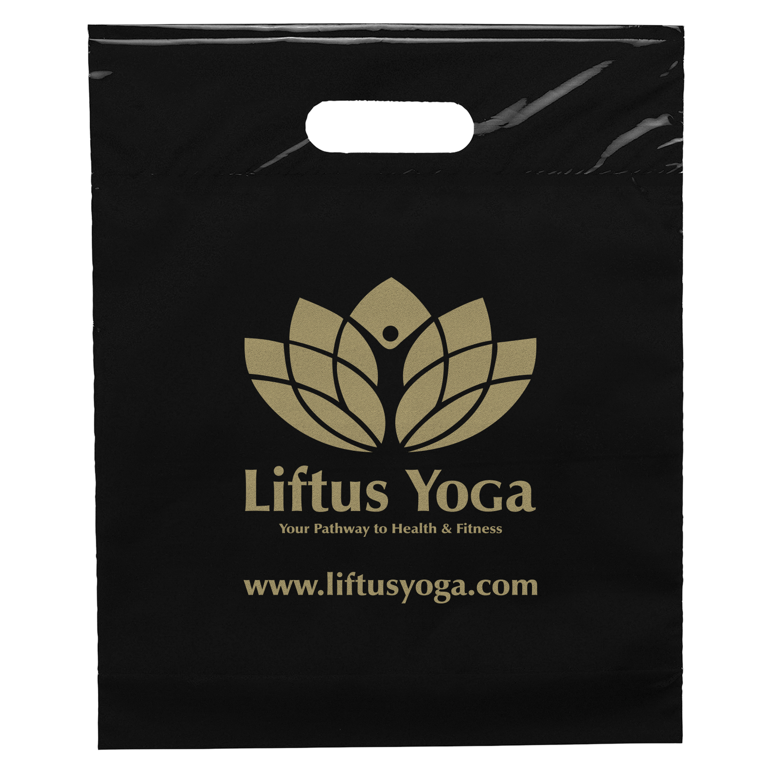Die Cut Handle Bag - 12W x 15H x 3 - Flexo Ink Print 11