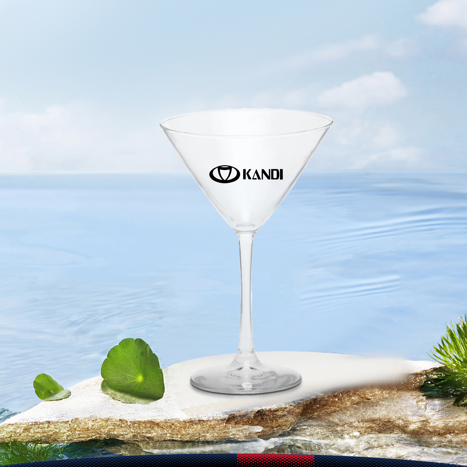 10 oz. Twnda Martini Glasses 1