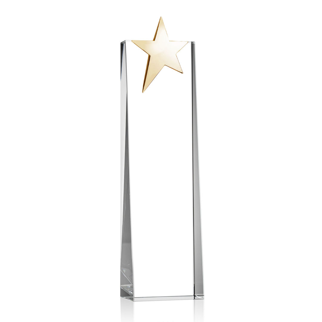 Fanshaw Gold Star Award 2