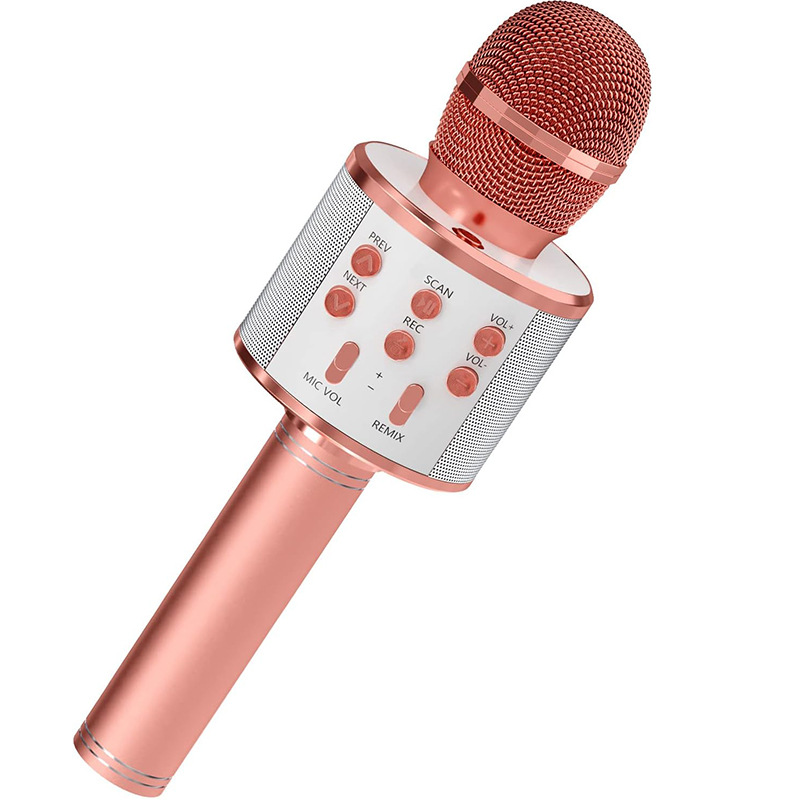 Metal karaoke Microphone 3