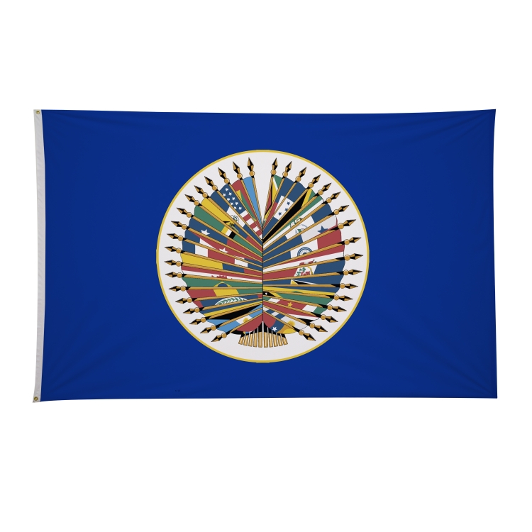 5' x 8' International Flags 86