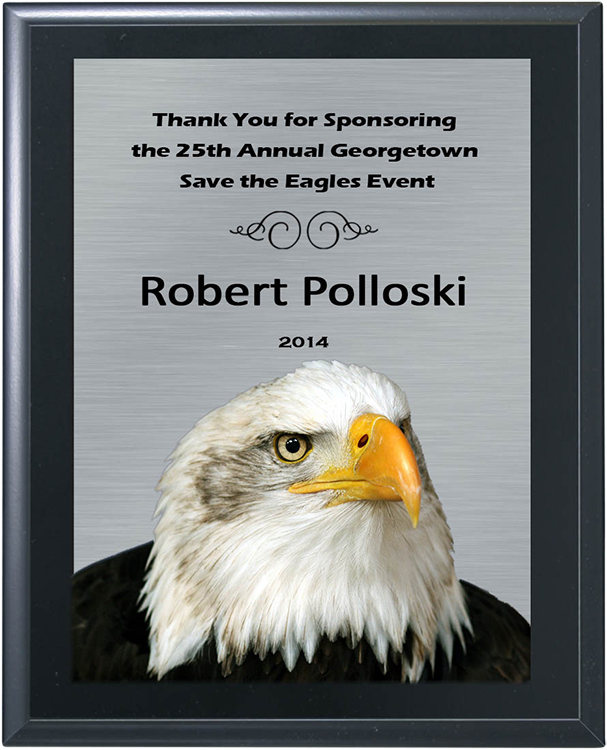 Color Rich PLATE Plaque-Classic Black