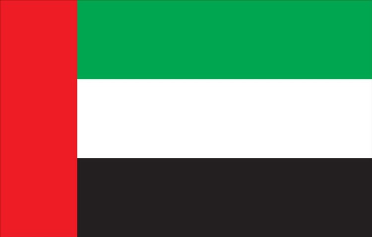United Arab Emirates Flag - 2' x 3' - Nylon 1