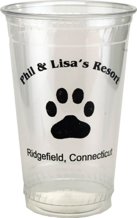 20 oz. Eco-Friendly Cup 1