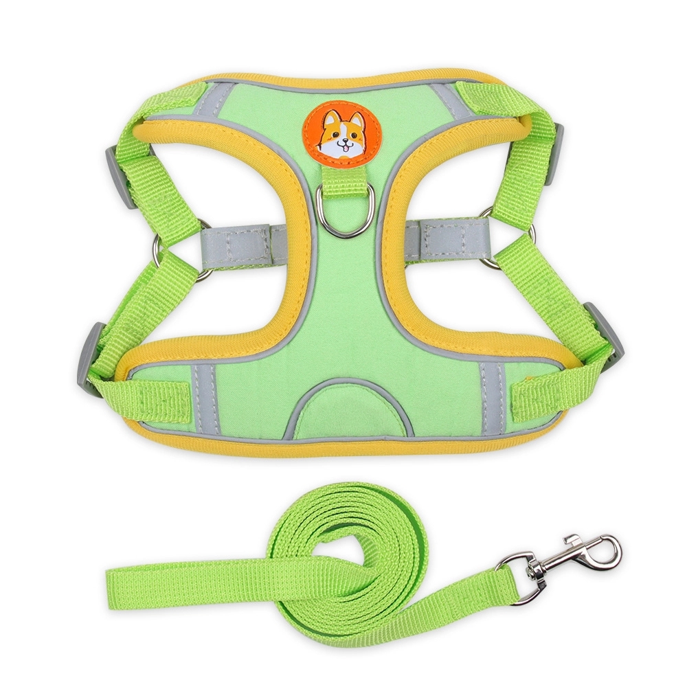 Pet Leashes and Collars 12