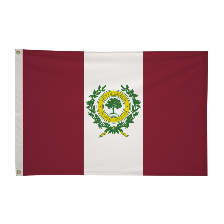 2' x 3' City Flags 88