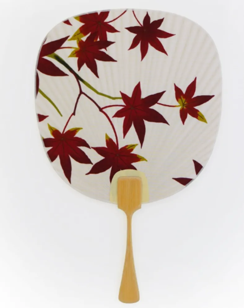 Bamboo Promotional Hand Fan 6