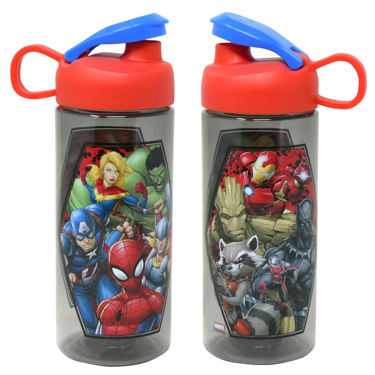 Marvel Universe Water Bottles - 16.5 oz 2