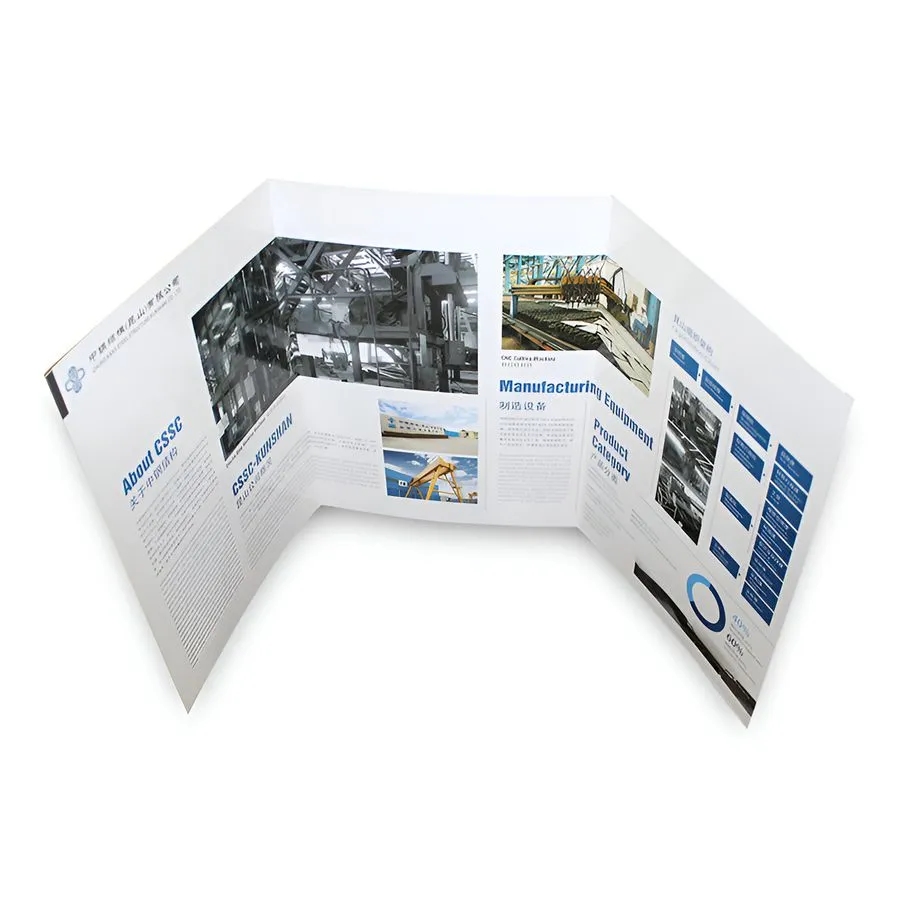 Tri-Fold Brochure 8