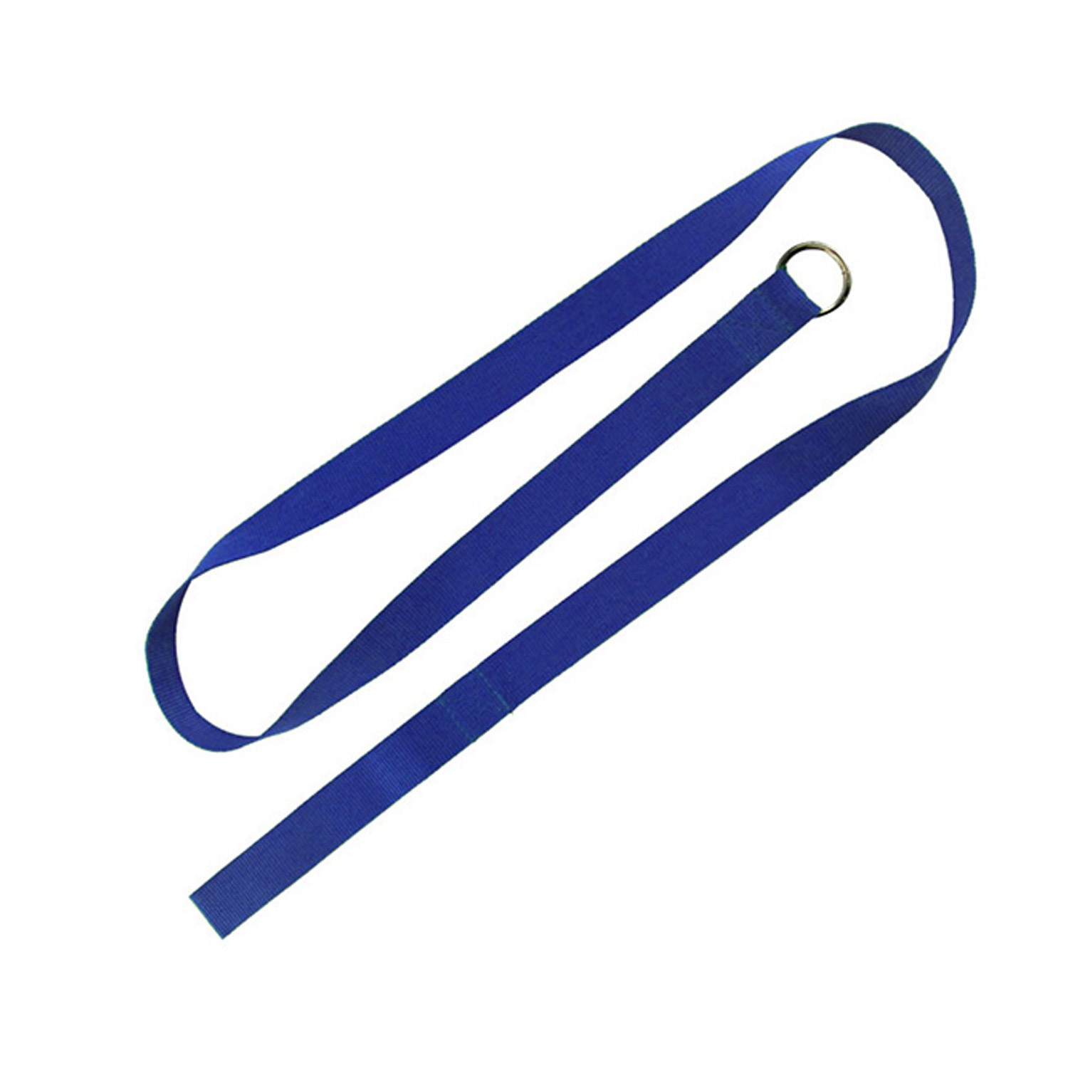 Paws for Life Slip Leash 2