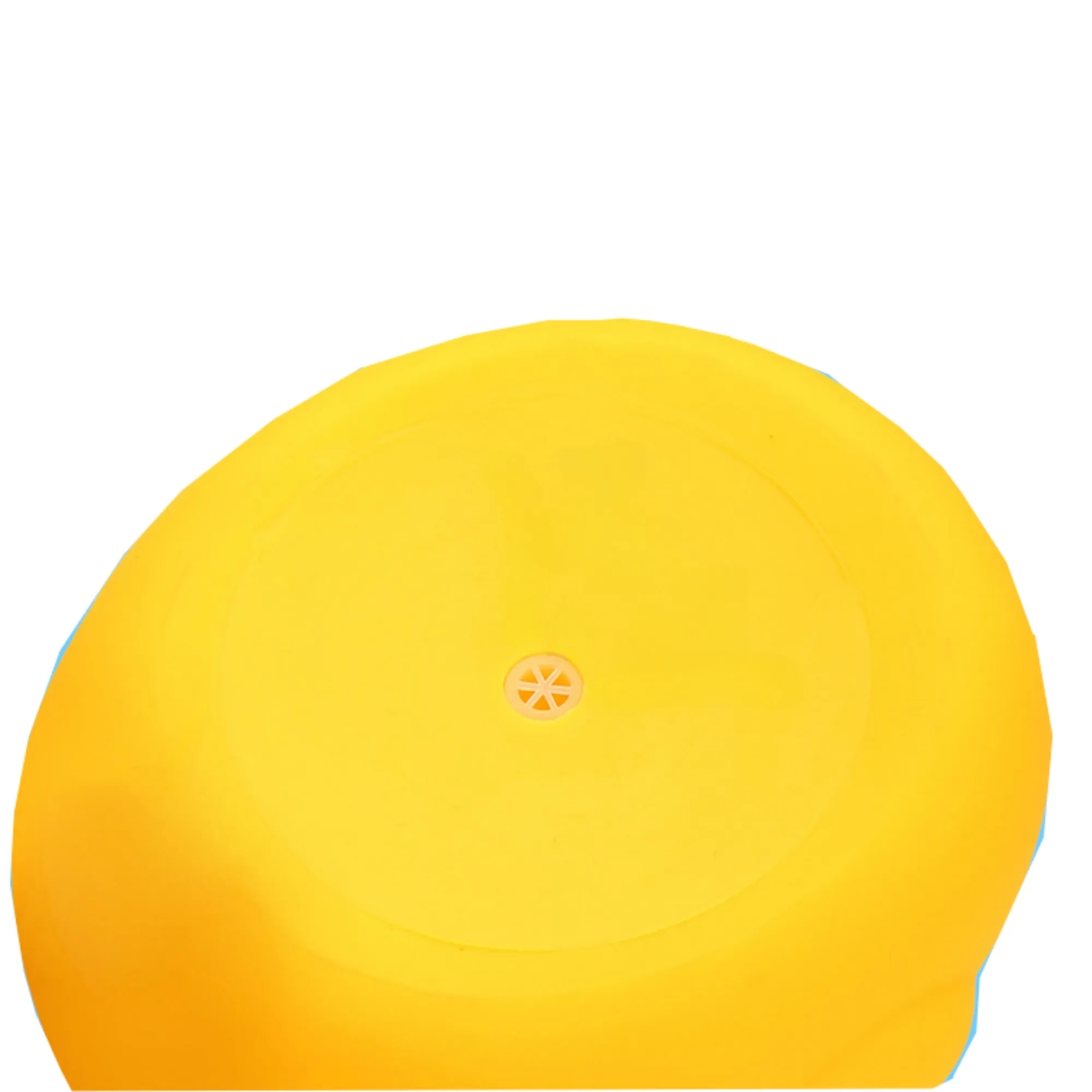 Squeaky Vinyl Duck Toy 4