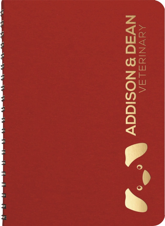 FlexNotes - Medium Classic 1