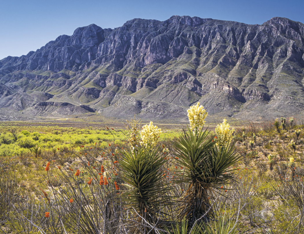 Good Value™ Mexico - Spiral Calendar 56