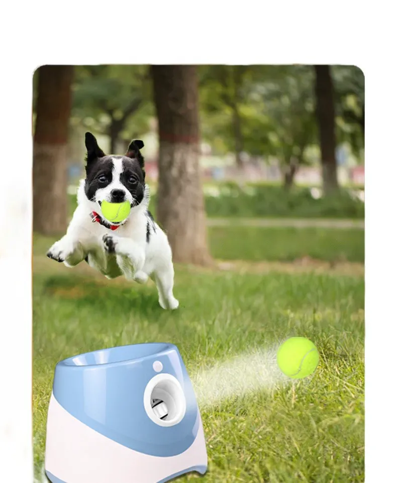 Automatic Dog Ball Launcher 5