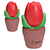 Tulip In Pot Stress Reliever 6
