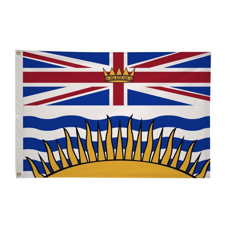 2' x 3'International Flag 327