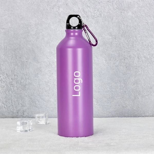 Aluminum Sport Bottle w/ Carabiner, 24oz/25oz., custom water bottle with logo imprint 2
