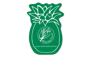 Pineapple Vinyl Jar Opener 7