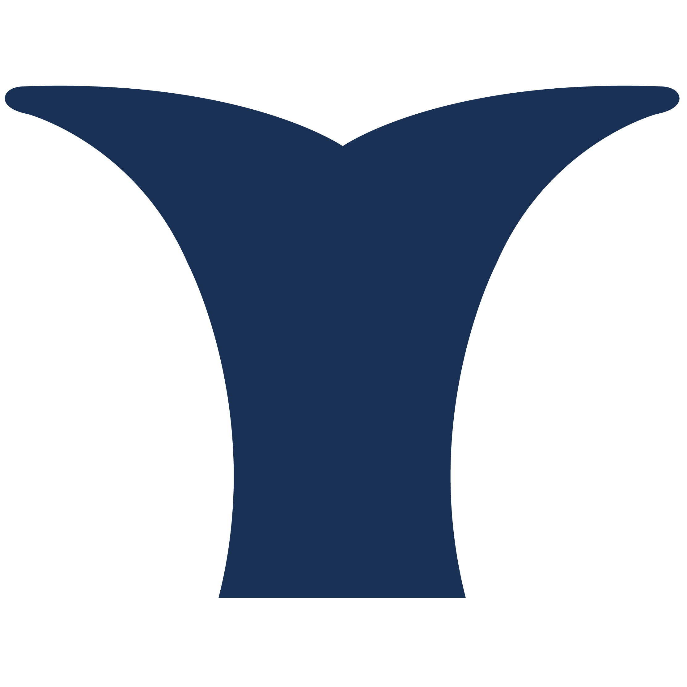 Whale Tail 29