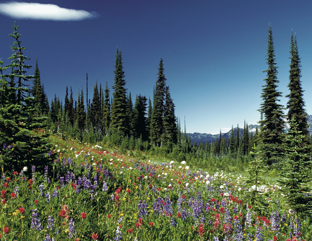 Good Value™ Canadian National Parks - Spiral Calendar 3
