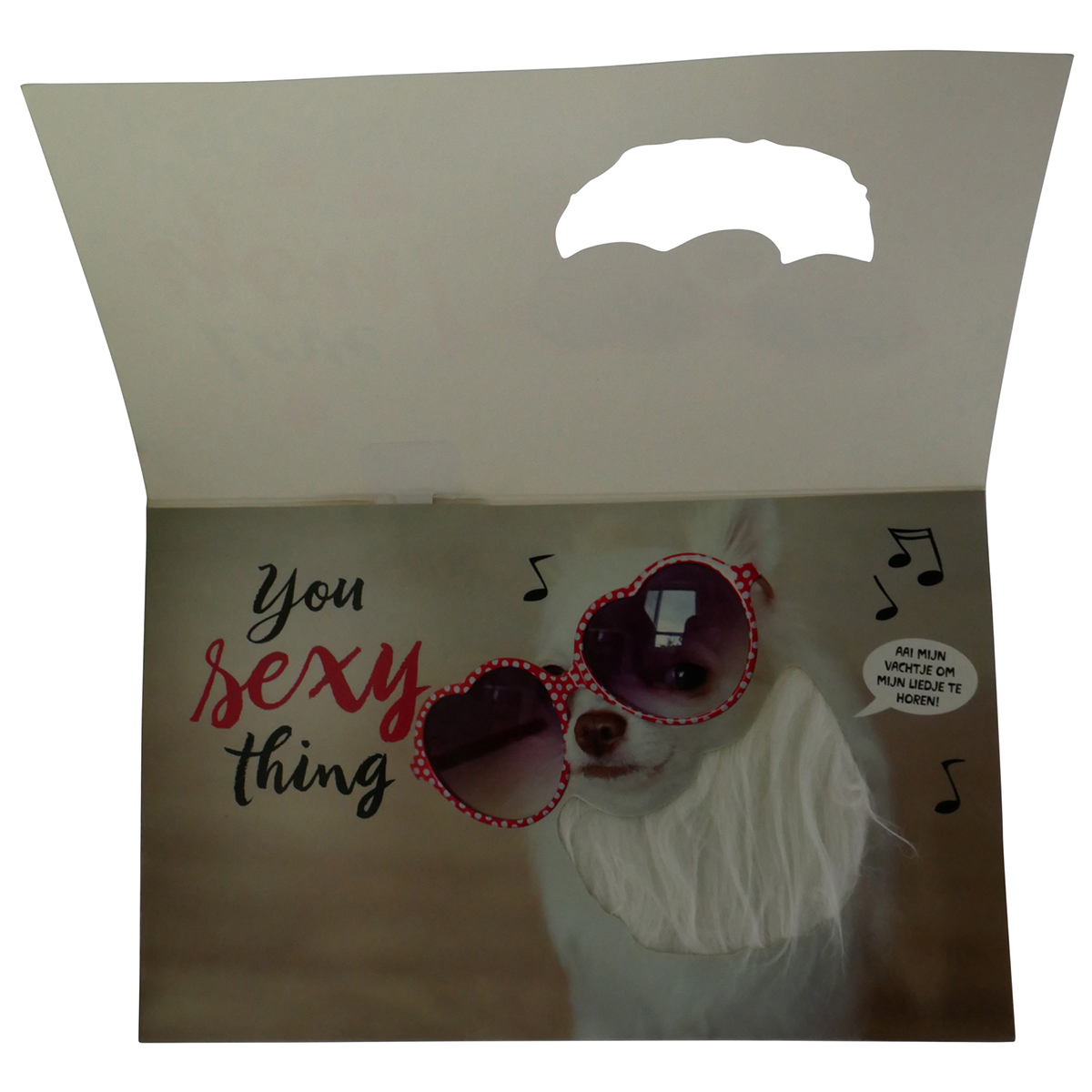AudioPop Touch Activation Custom Interactive Audio Greeting Card & Direct Mailer - Full Color 1