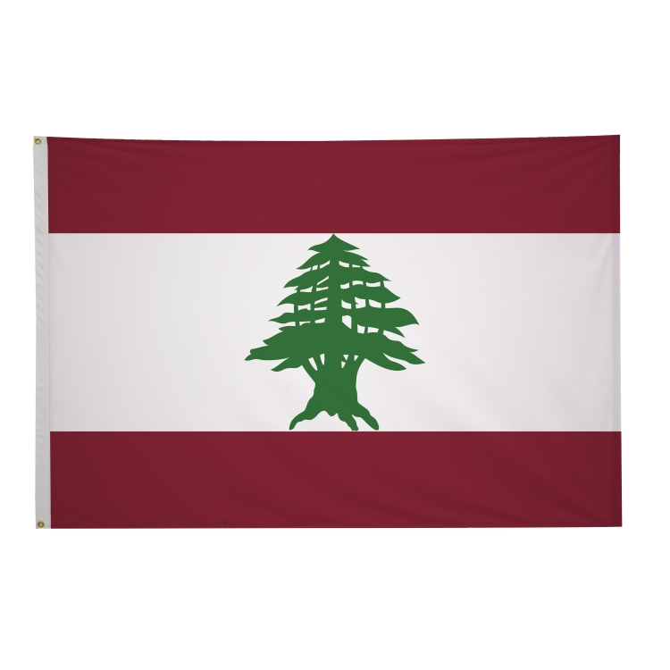 4' x 6' International Flags 69