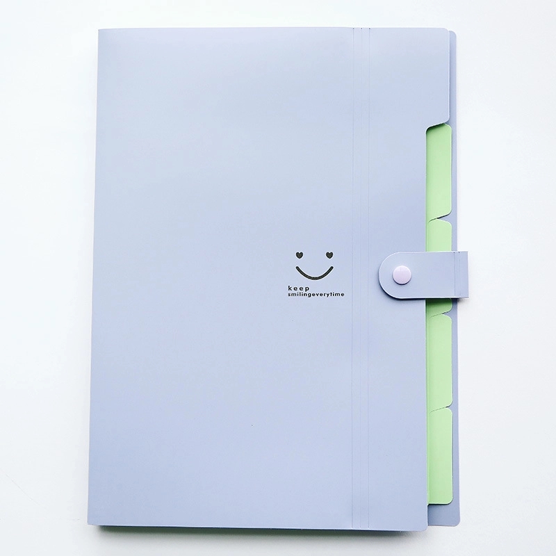 Expanding File Folder 5 Pockets 12