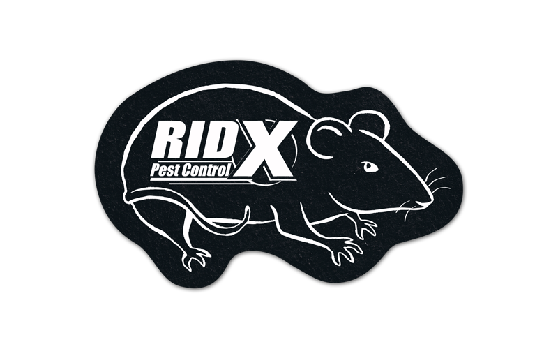 Rat/Mouse Flat Tire Coaster