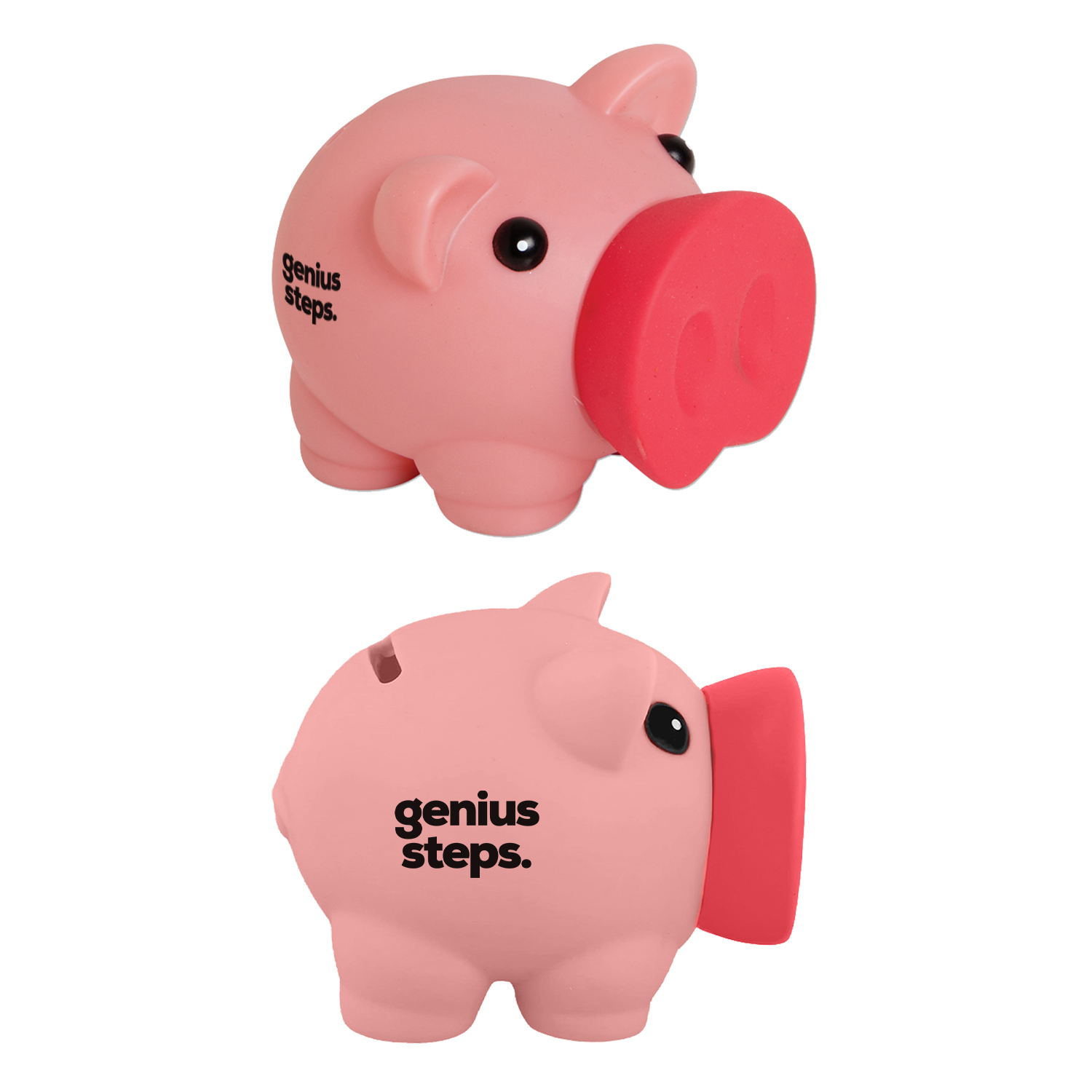 Piggy Bank 14