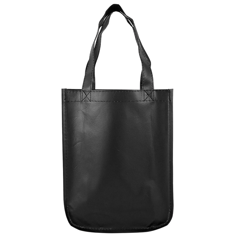 Sundale Small Matte Laminated Tote Bag 9