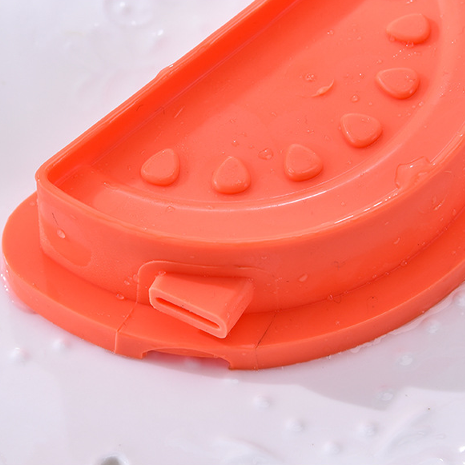 Watermelon lce Mold 4