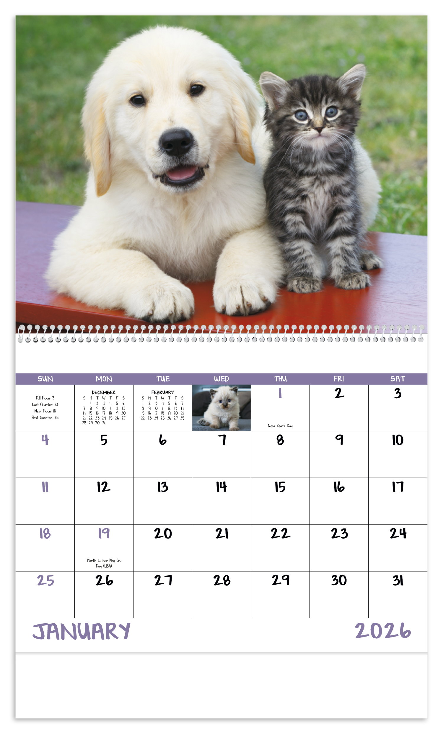 Good Value™ Puppies & Kittens - Spiral Calendar 9