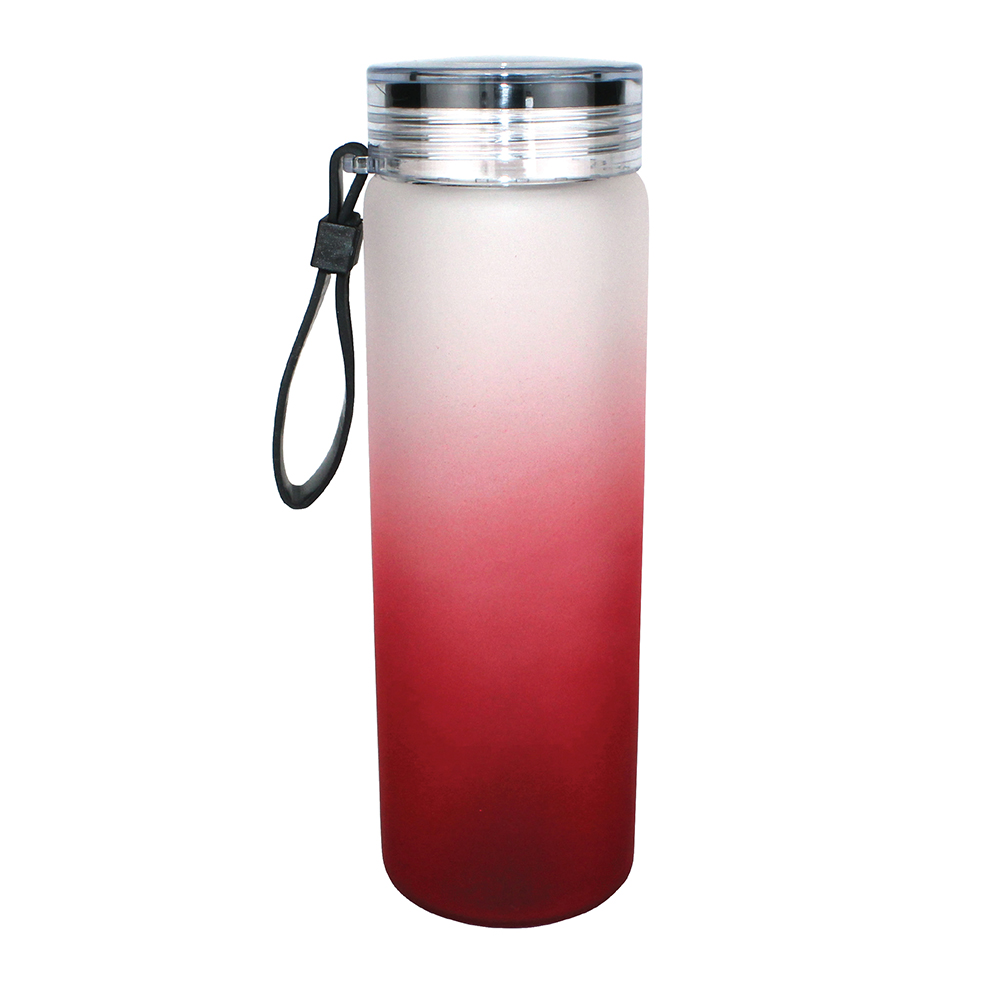 Halcyon® 20 oz. Frosted Glass Bottle with Screw on Lid 19