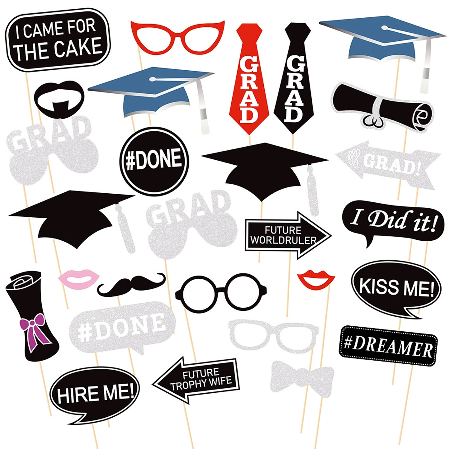 College Graduation Party Funny Photo Prop Set 3