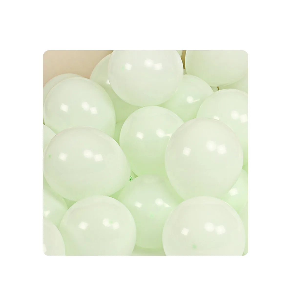 10 Inch Party Balloons 8
