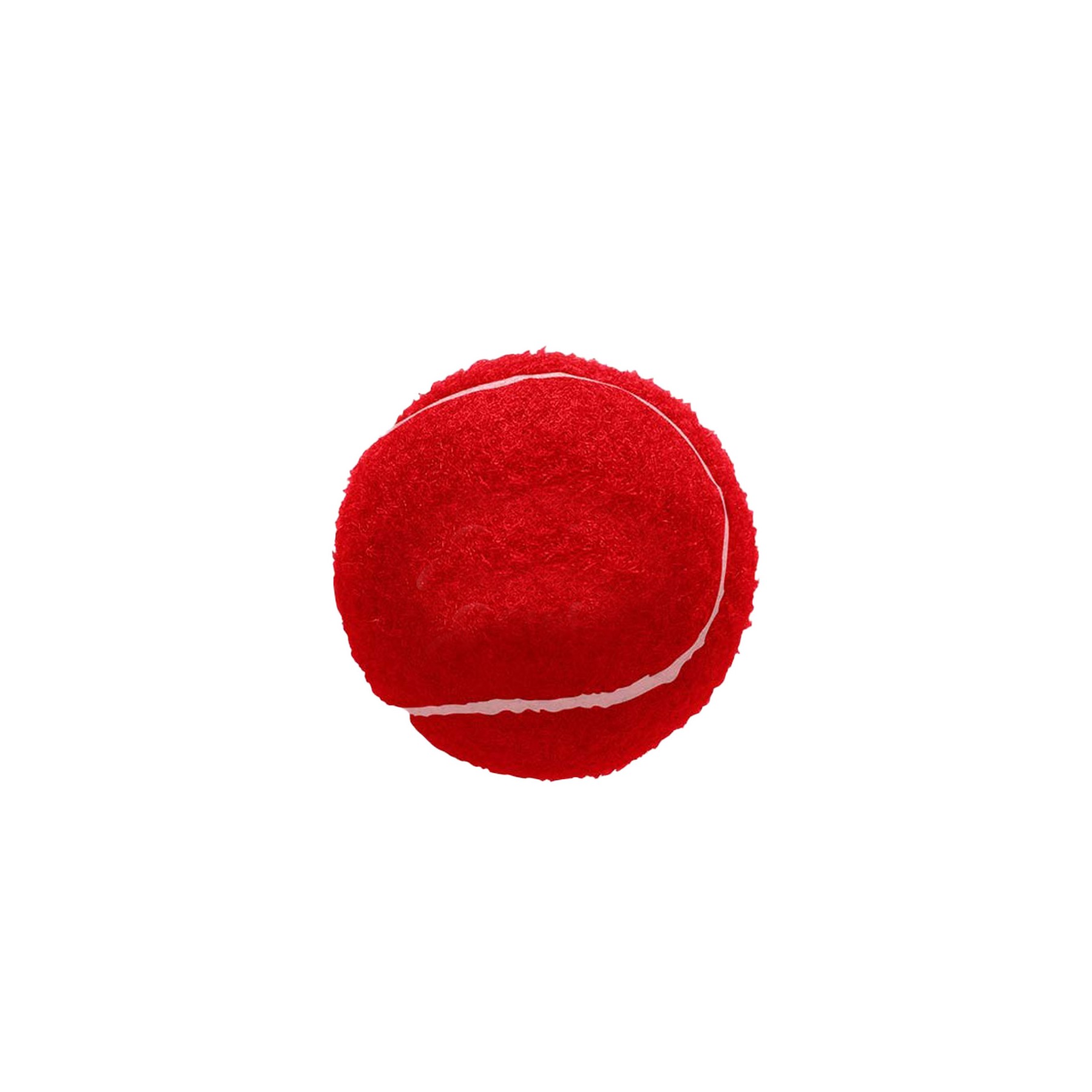 Pet Tennis Ball 5