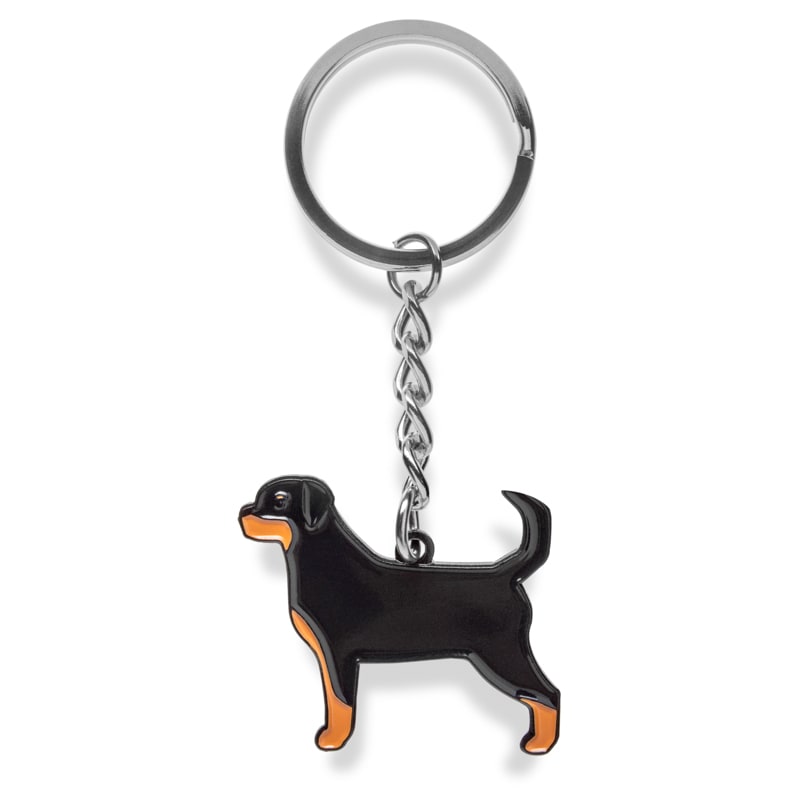 Custom Soft Enamel Metal Keychains 1