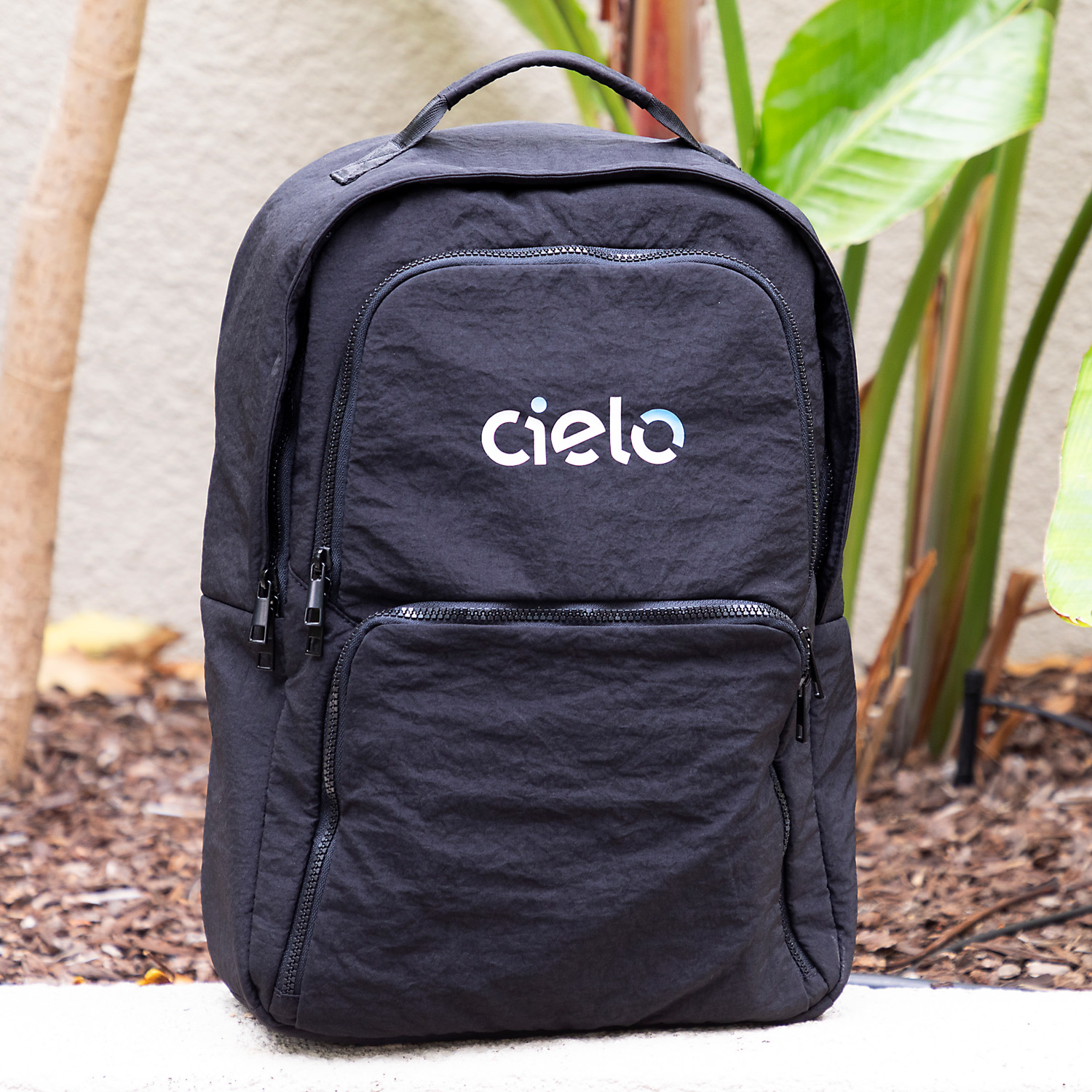 The Essential Backpack