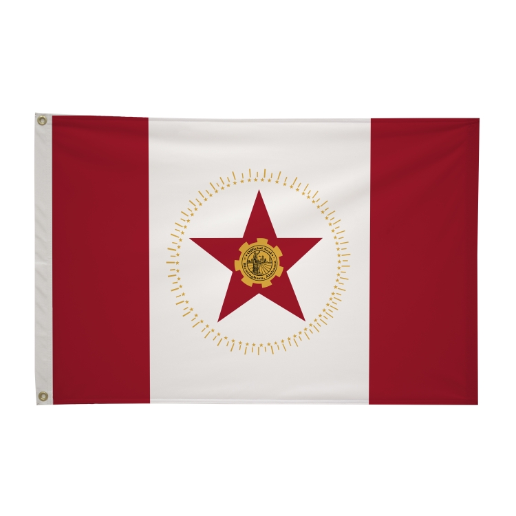 2' x 3' City Flags 40
