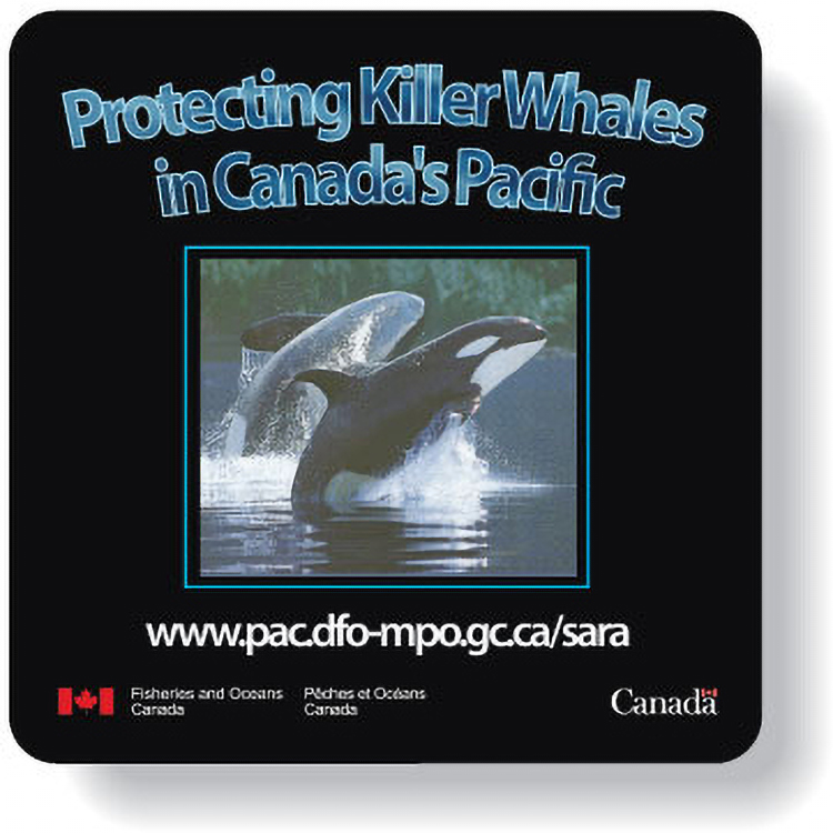 White Gloss 4 Colour Process Paper Roll Label Stock Square (1"x1")