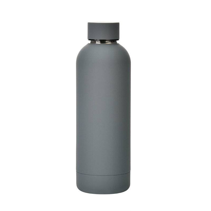 Stainless Steel Water Bottle 22