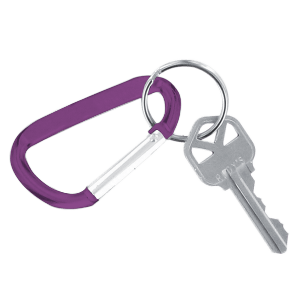Carabiner Keychain 1