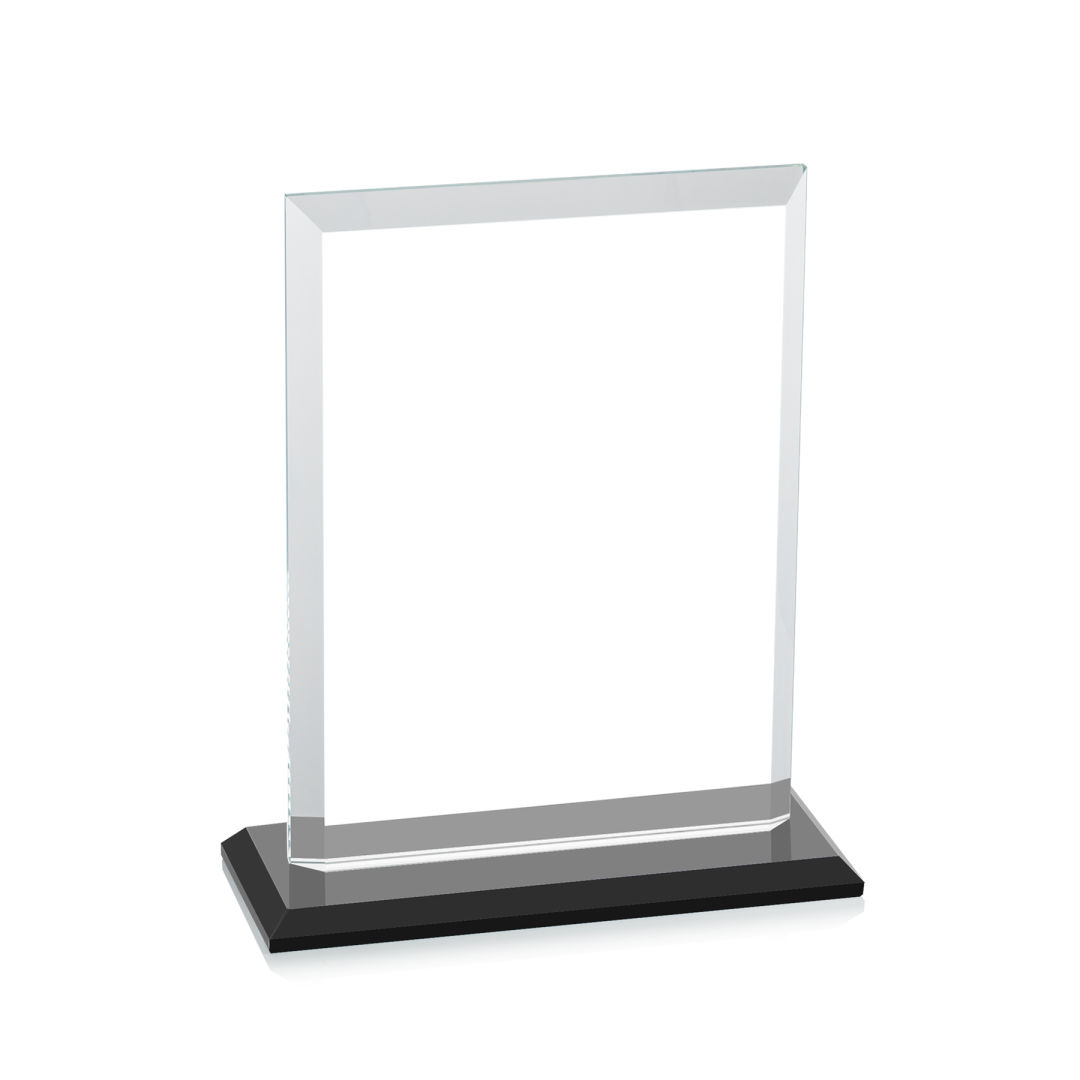 Denison VividPrint™ Award - Black 10