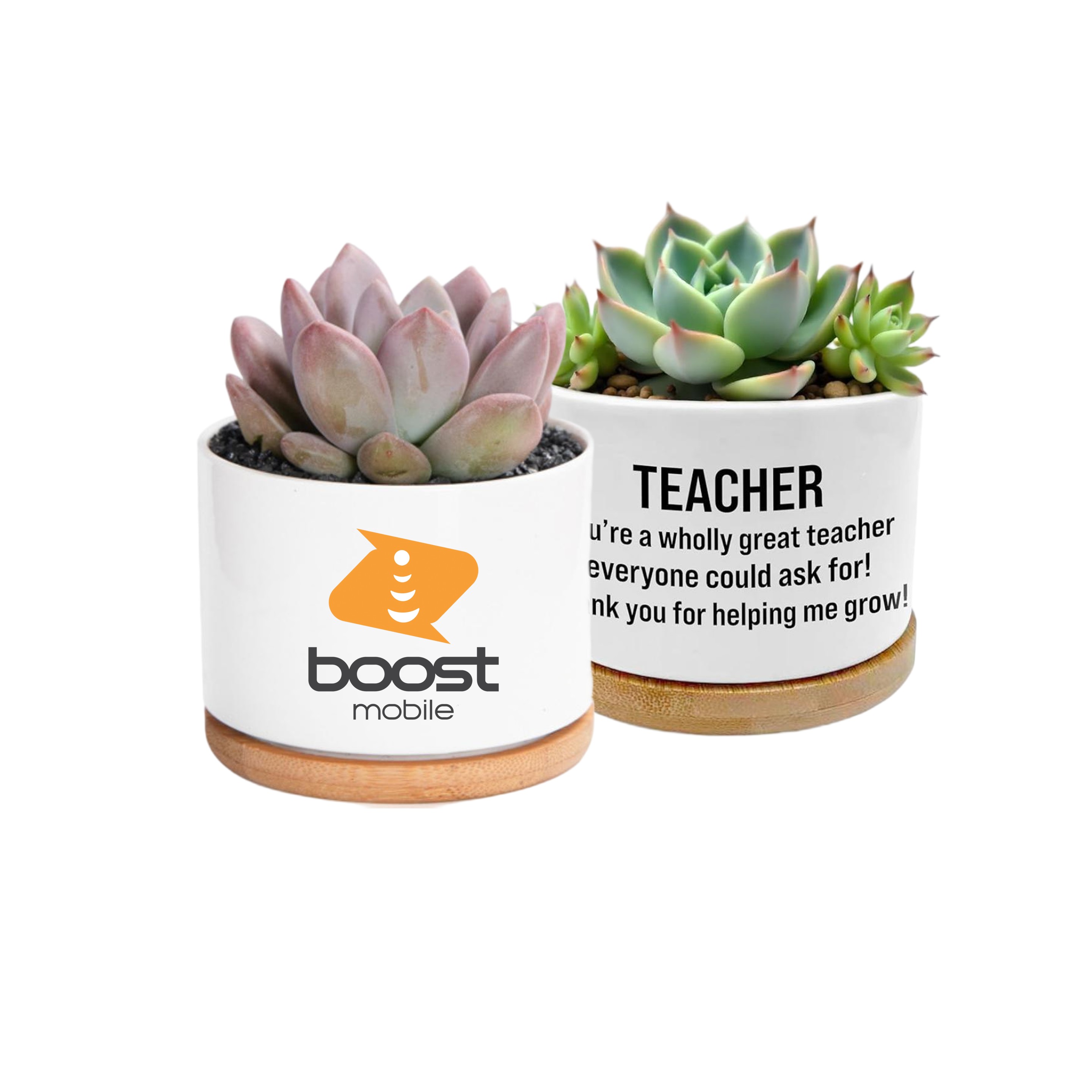 Mini Ceramic Flower Pot 5