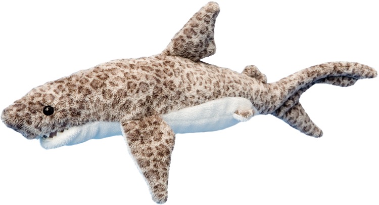 Titus Tiger Shark 2