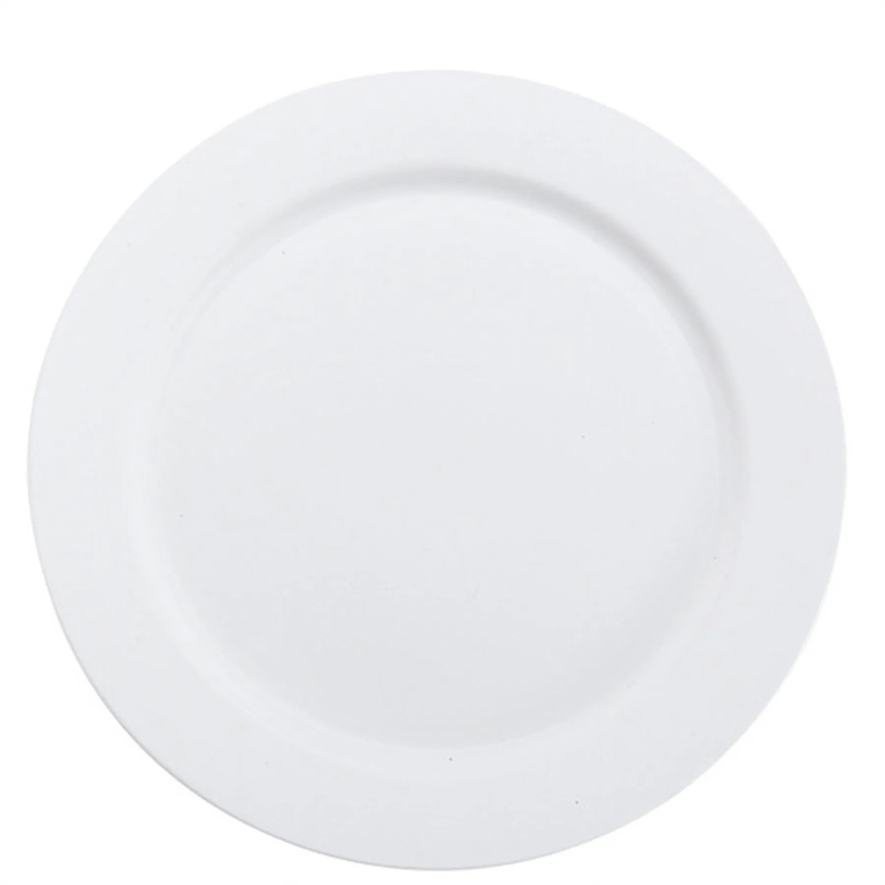 Plastic Plate 9.8 Inch 14