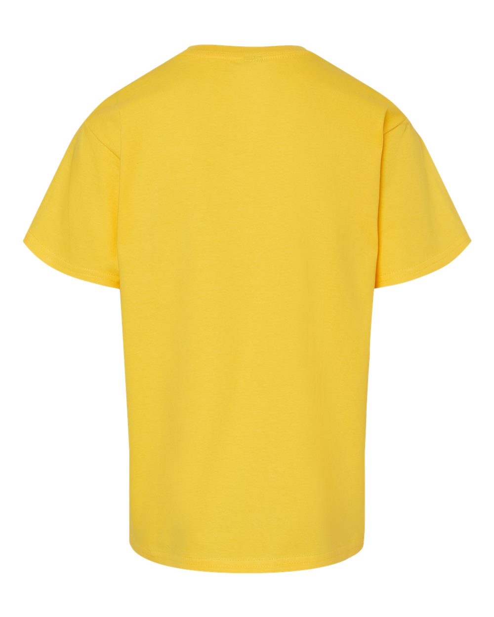 Youth Softstyle® Midweight T-Shirt - 65000B 38