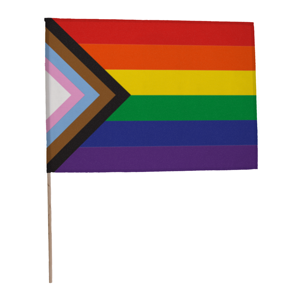 14" x 19" Fan Flag 26