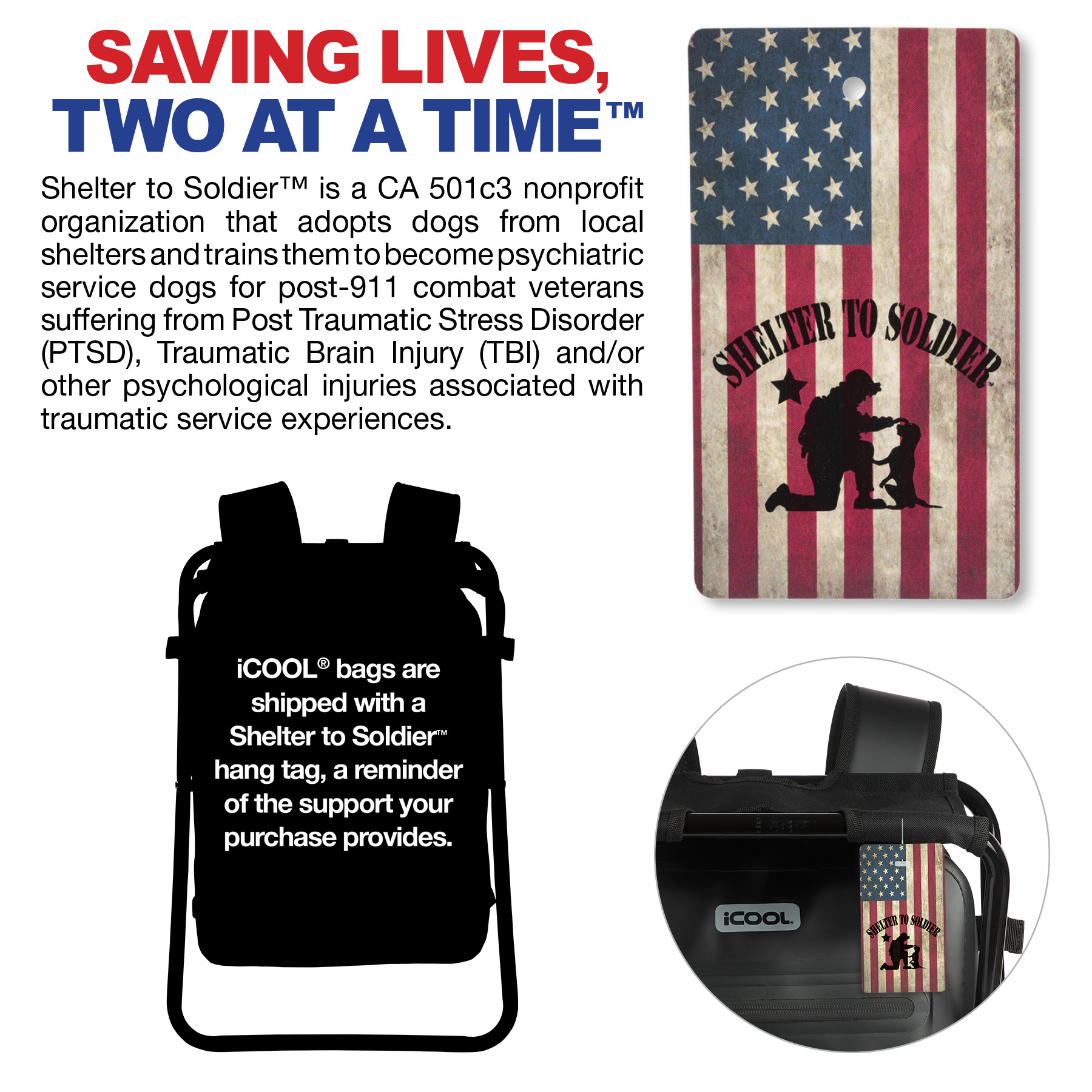 iCOOL Teton Waterproof 20L Laptop Backpack Chair 5