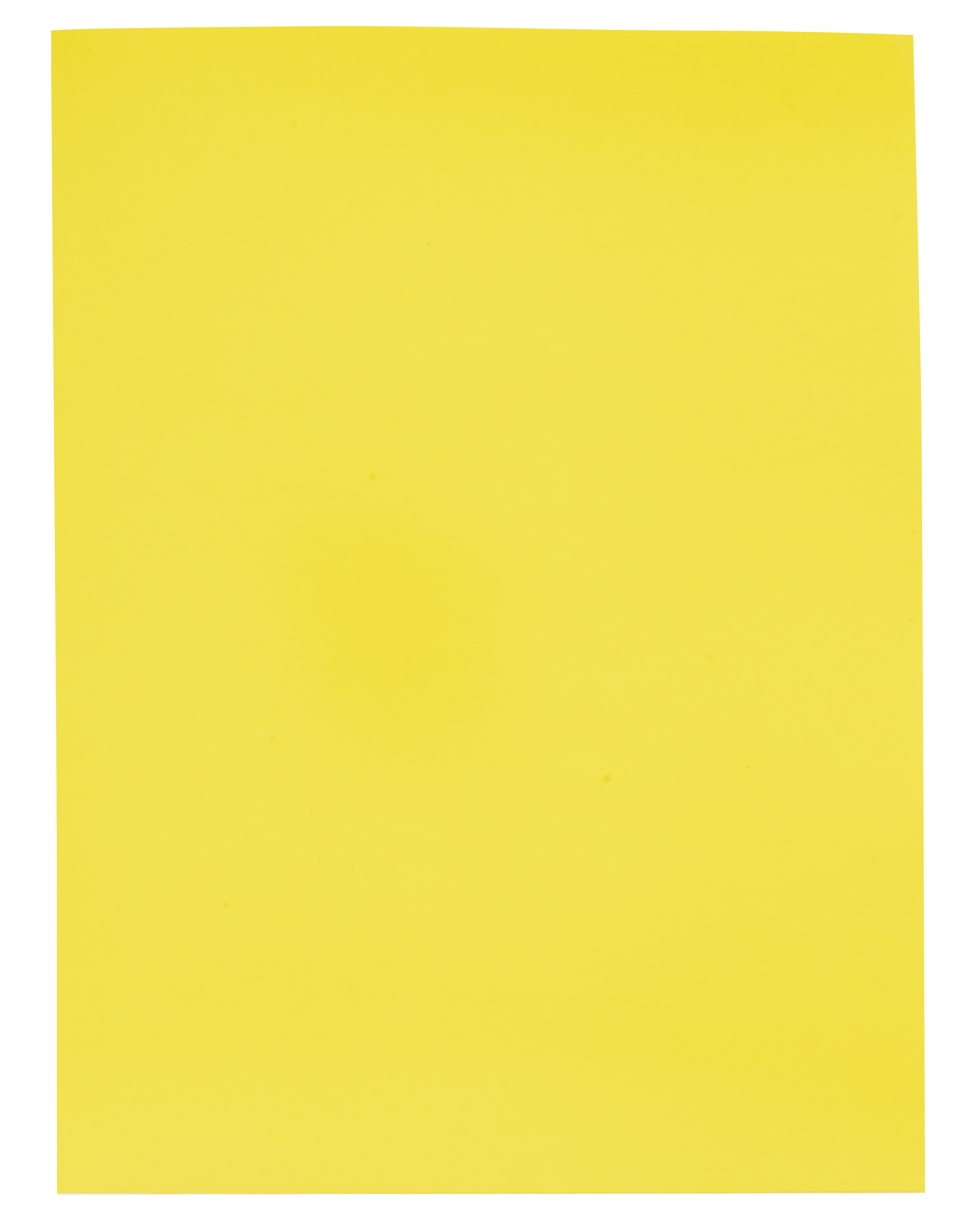 Good Value™ Gloss Paper Folder 12